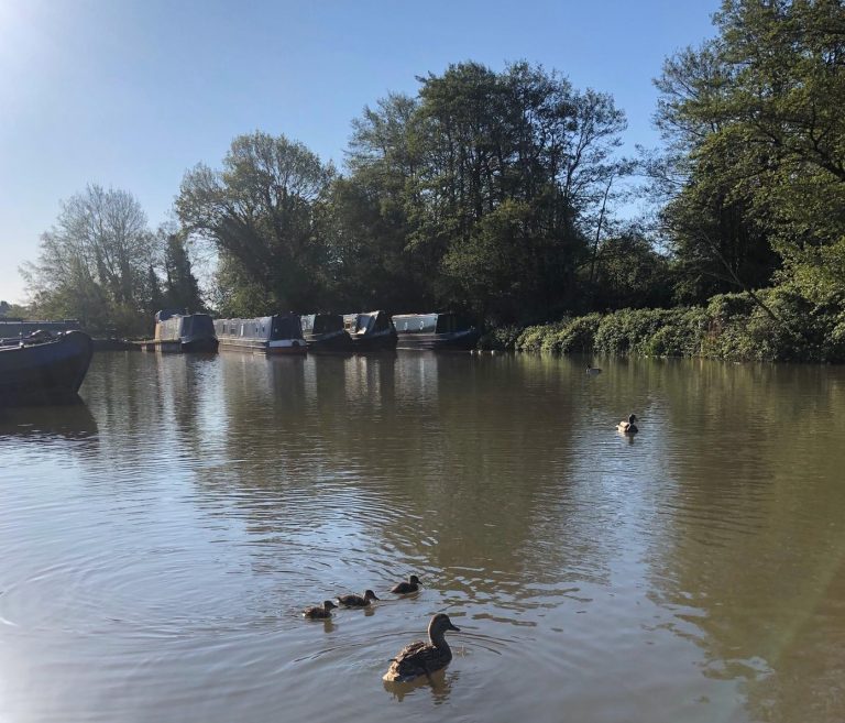 96267393 552460755408978 3555356988277784576 o 1 768x657