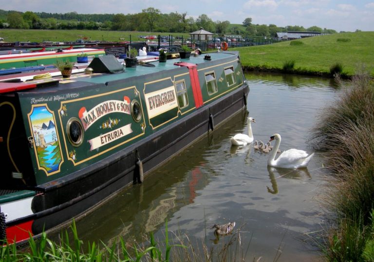 aston marina swans 768x538