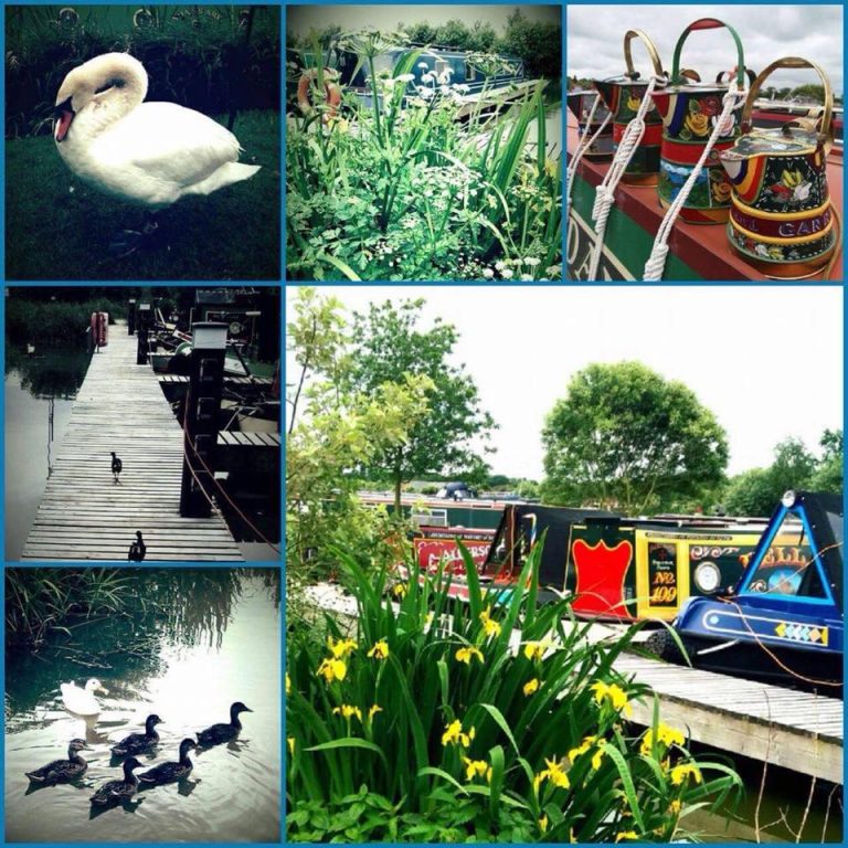 overwater marina drone 768x768