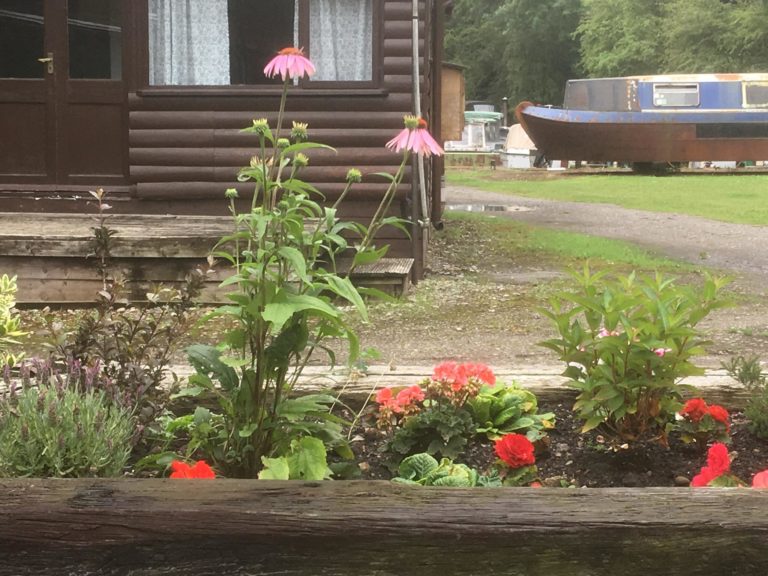 67245800 1066358030223966 7407785444101849088 o 1 768x576