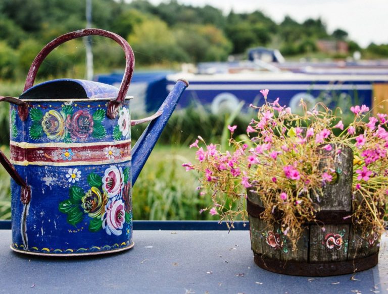 caen hill marina flowers 768x583