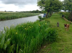 chasing duck moorings private 300x224