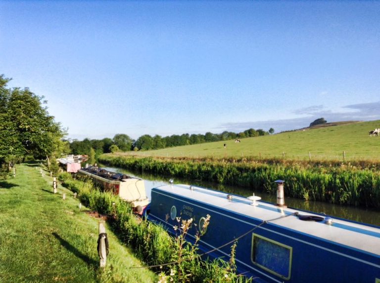 chasing duck moorings view 768x573