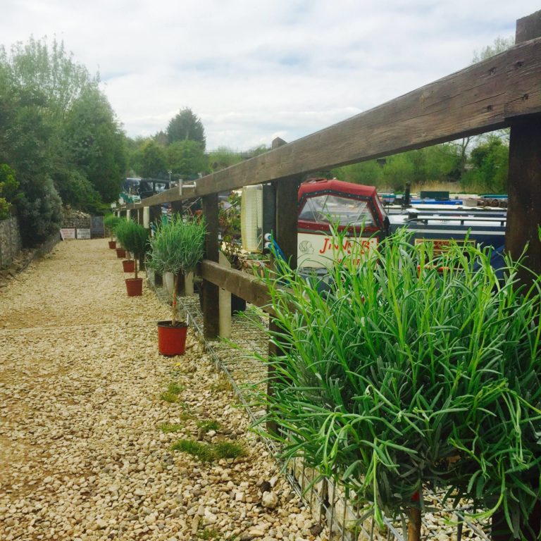 enslow marina garden 768x768