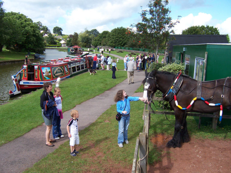 mid devon moorings horse 768x576