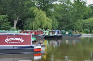 pyrford marina boats 300x199