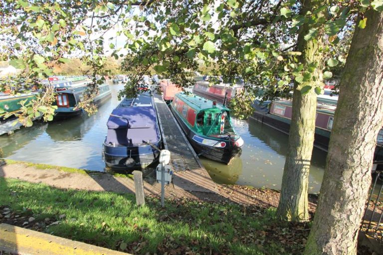 whilton marina trees 768x512