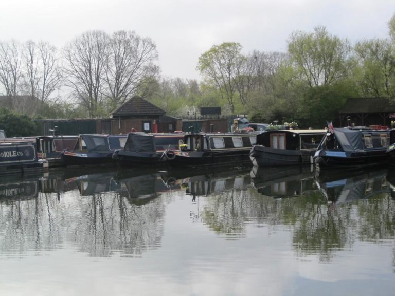 willow tree marina dark 768x576