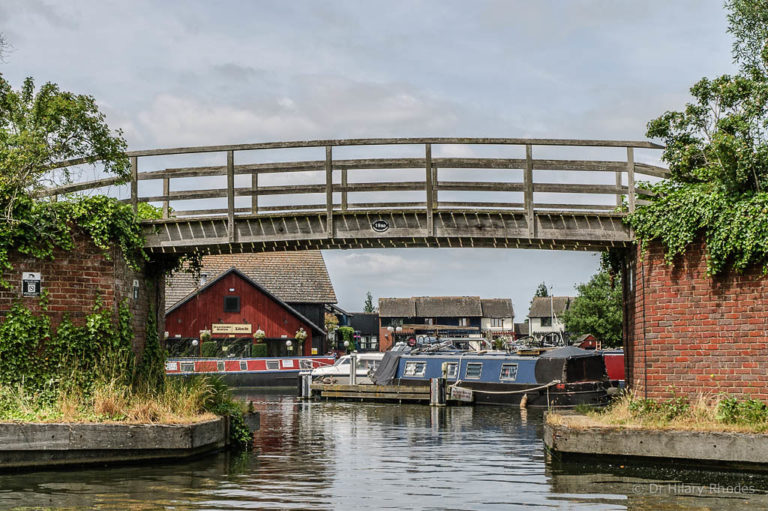 willow tree marina entrance 768x511