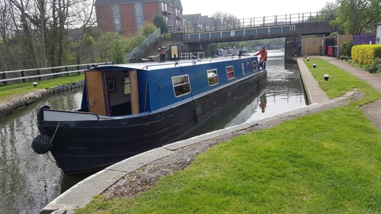 springer50ft 9 768x432