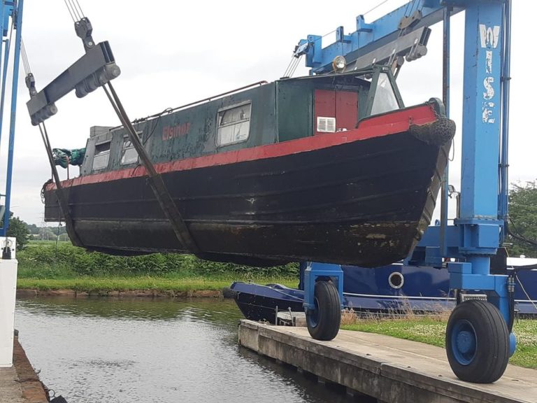 38springerproject 4 768x576