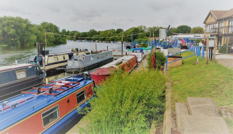 IMG 20200726 091723642 HDR 2 768x442