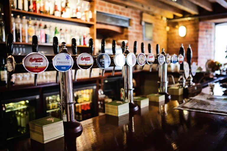 artichoke chester 6 768x512