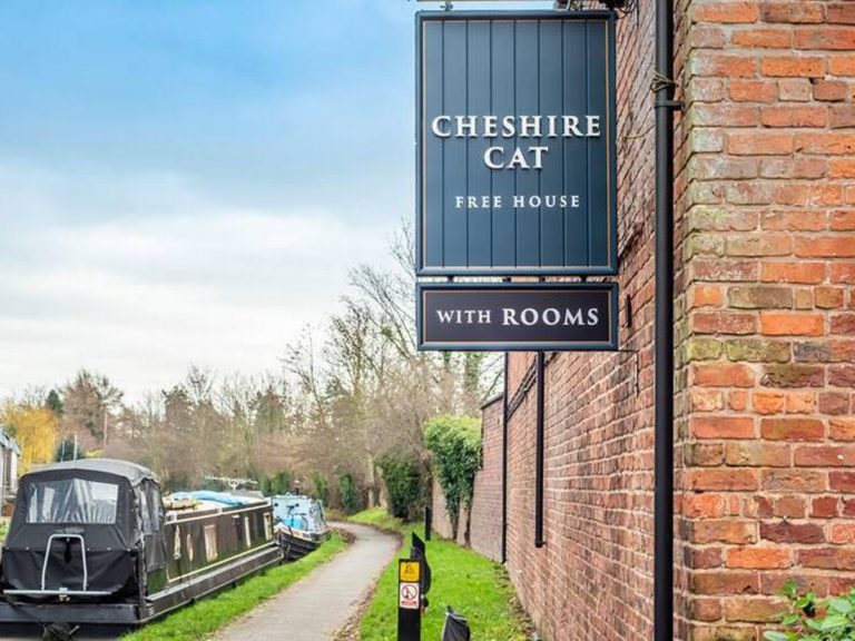 cheshire cat 2 768x576