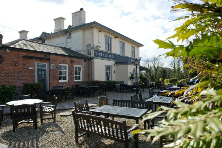 cheshire cat 3 768x511