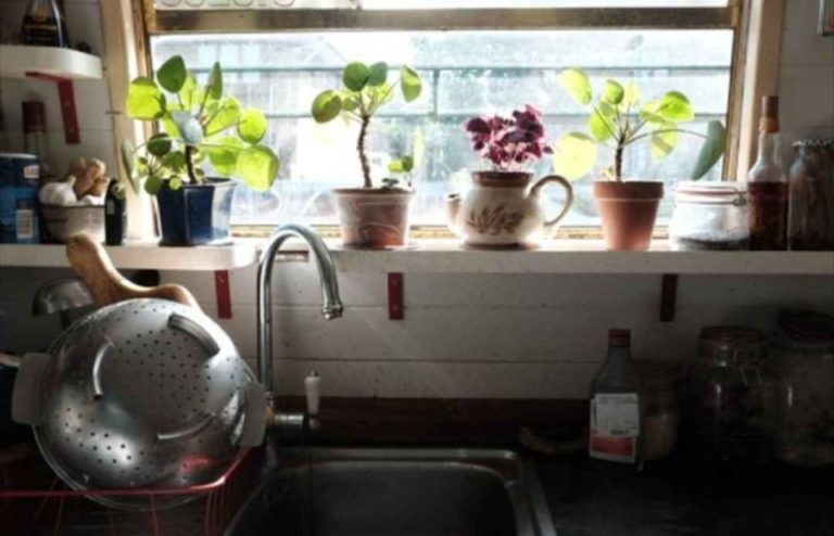 scrumpy jack widebeam 14 768x494