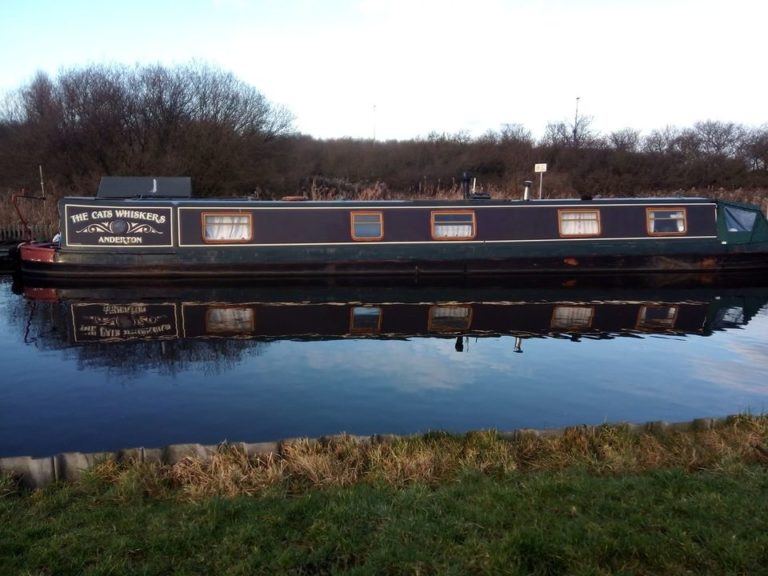 the cats whiskers 1 768x576