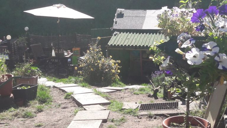 the cats whiskers 6 768x432