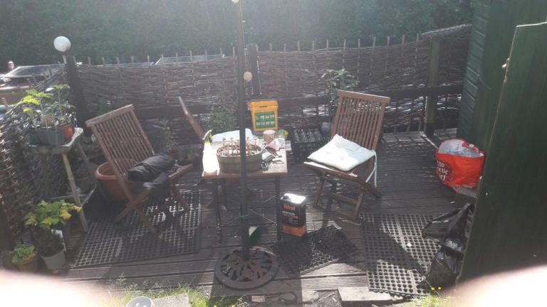 the cats whiskers 7 768x432