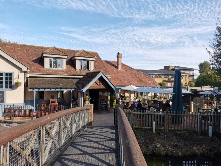 the coy carp 1 768x576