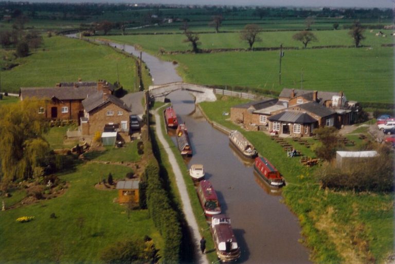 the shady oak 6 1 768x514