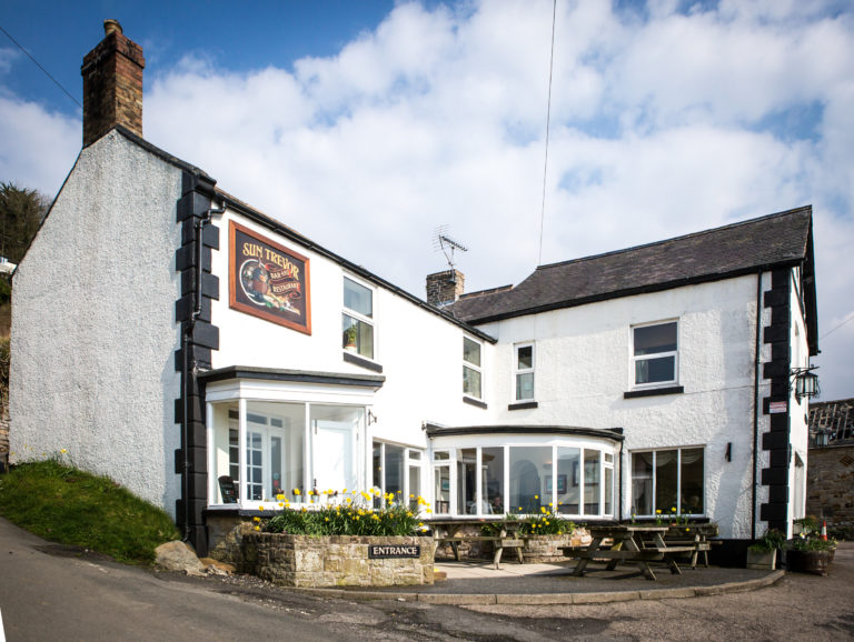 the sun trevor 2 768x578