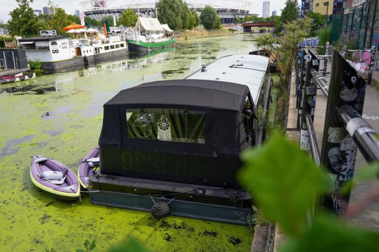 collingwood euro cruiser widebeam 19 768x512
