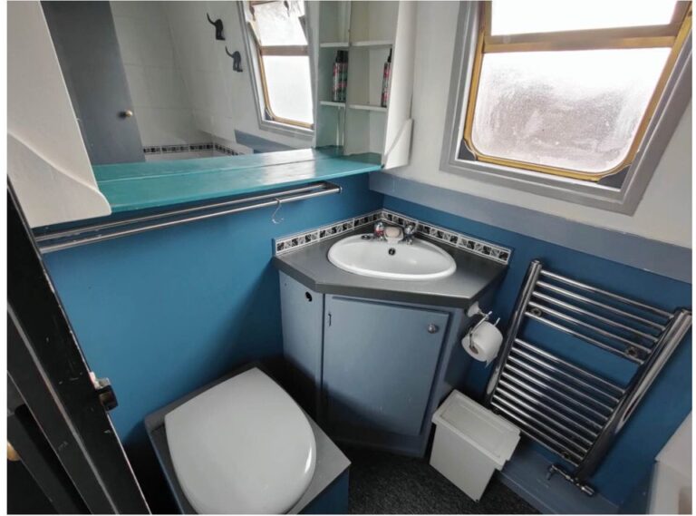 nb billy whizz for sale norbury 2 768x569