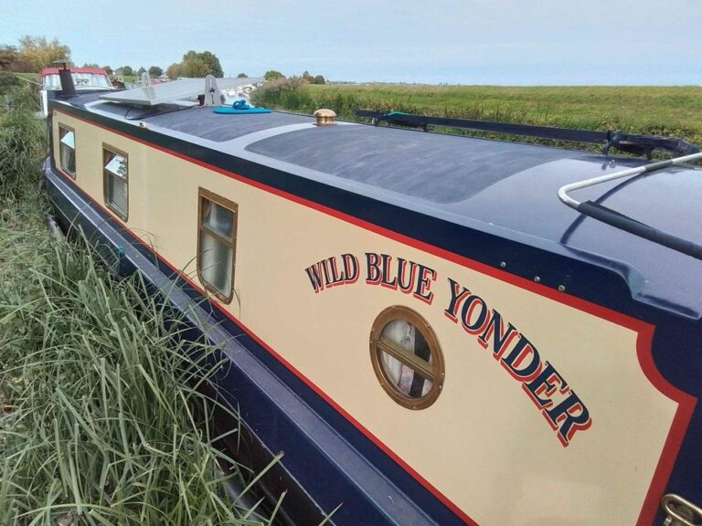 wild blue yonder 3 768x576