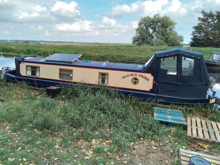 wild blue yonder 9 768x576