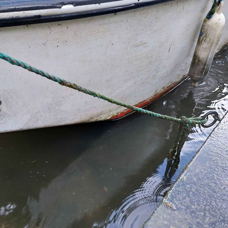 wildness water bug gypsy boat 5 768x768