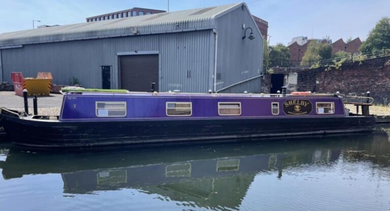 nb shelby for sale 12 768x415