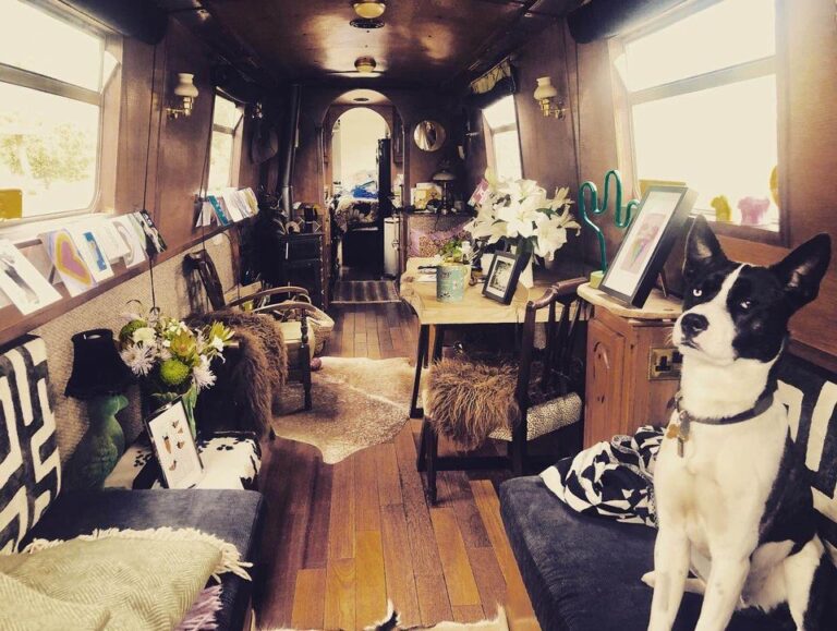 nirvana solihull boat for sale 3 768x579