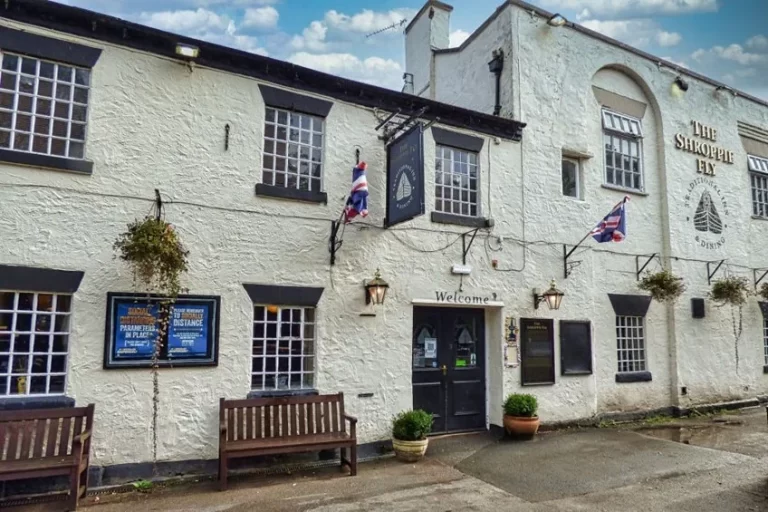 the shroppie fly 2 768x512