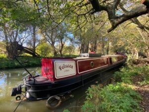 2002 RND Narrowboat For Sale 11 300x225