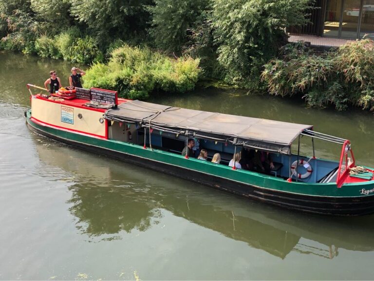 Lapwing12 seat narrowboat for sale 1 768x577