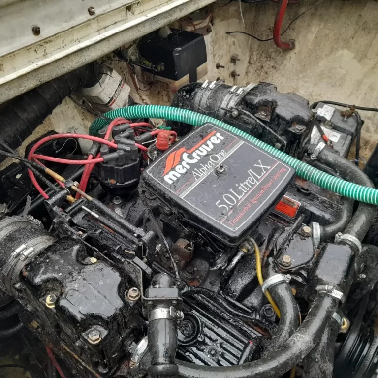 inbound2086168423245635751 768x768