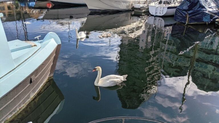 1935 Dutch Barge with London Mooring For Sale 2 768x432