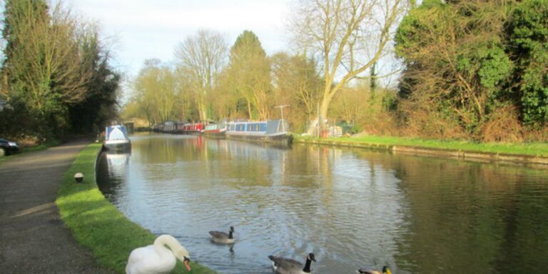 Cassiobury Park Floating Market 2 768x384