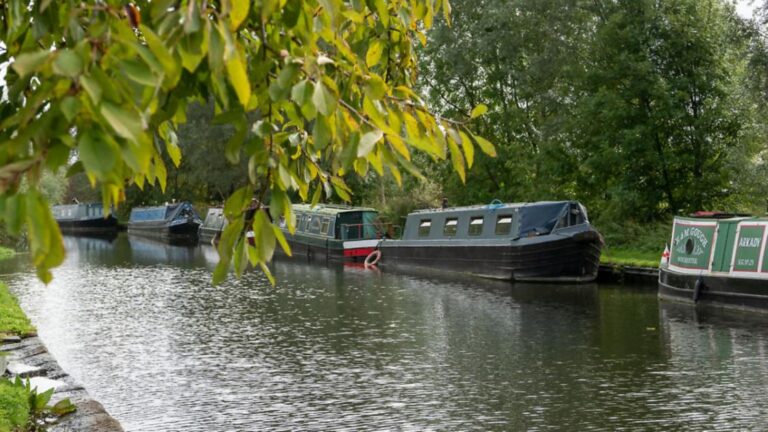 boxmoor may floating market 4 768x432