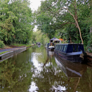 trentham floating market 2 300x300