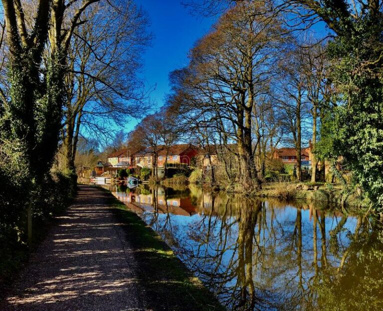 trentham floating market 3 768x623