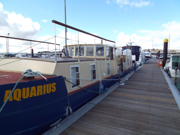 C Aquiriuse 004 768x576