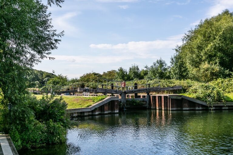roydon marina 768x512