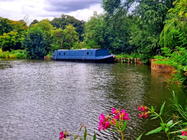 IMG 20230723 221833 510 768x576