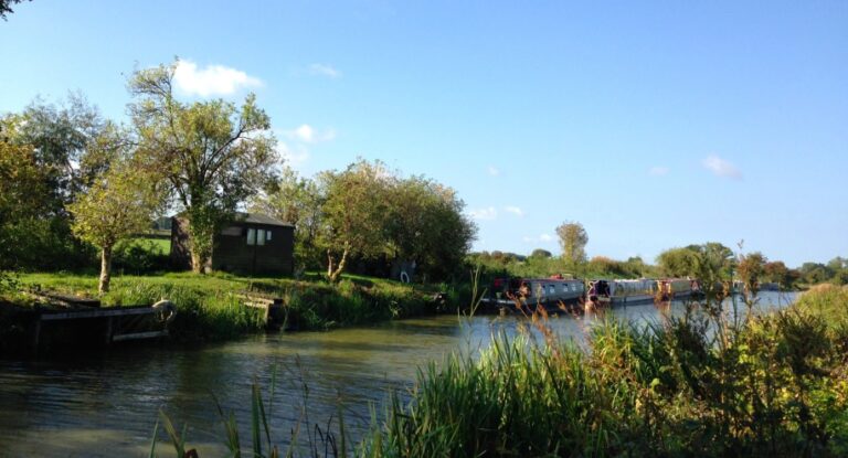 Chasing Ducks Marina 768x415