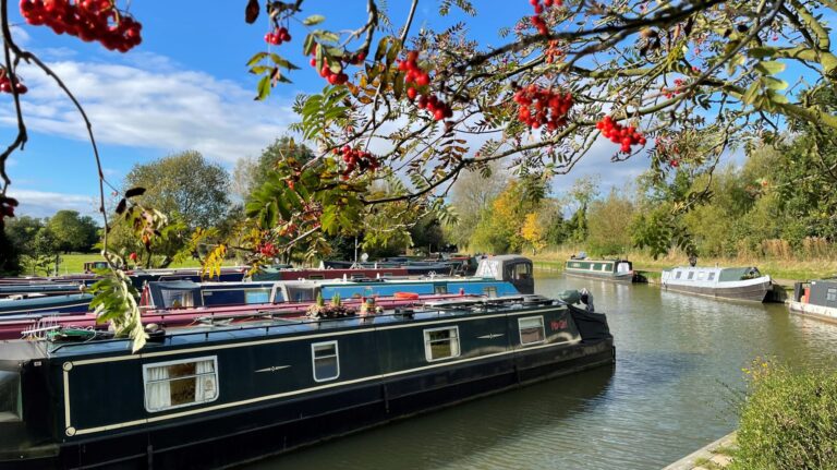 Welford Marina 8 768x431