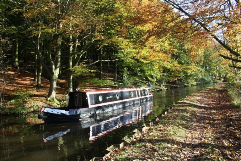 Bear Boating 2 768x512