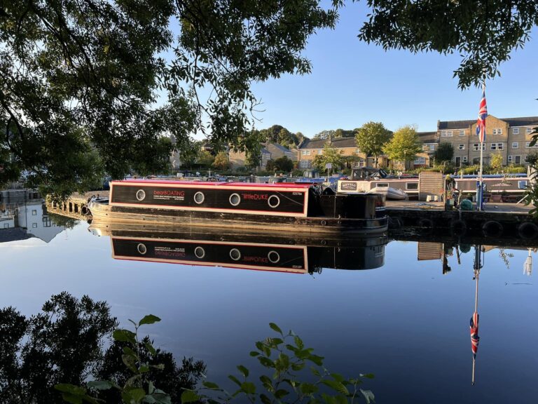 Bear Boating 3 768x576