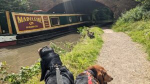 Kate Boats Narrowboats 7 300x169